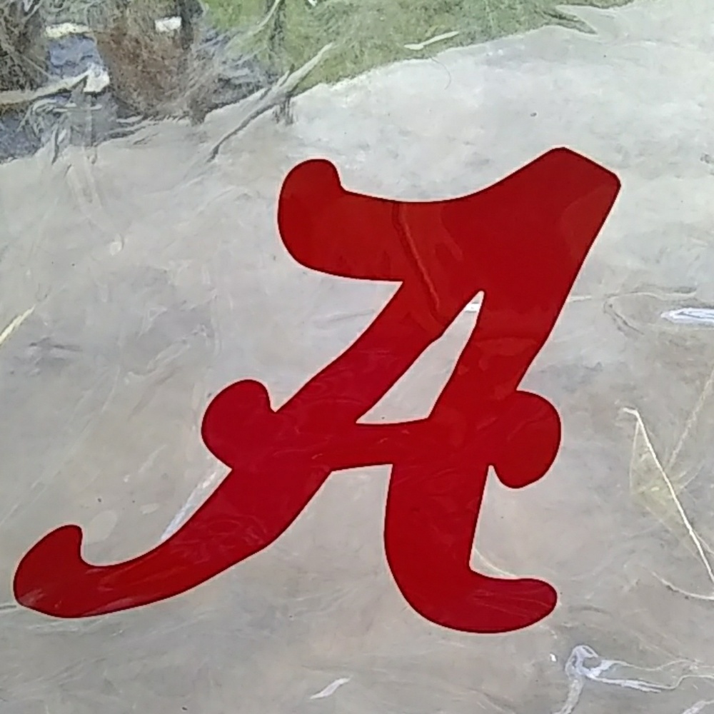 A beautiful " Alabama's bag"